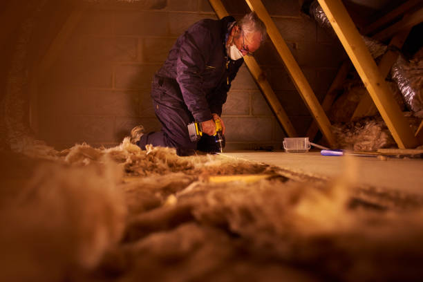Best Insulation for Specific Applications in Topanga, CA